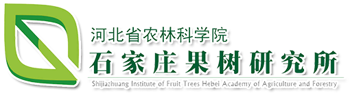 真空出料泵，衛生級離心泵，蒸發器循環泵，負壓泵